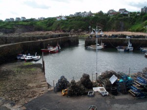 Crail Harbour Starfish Taxis Tours